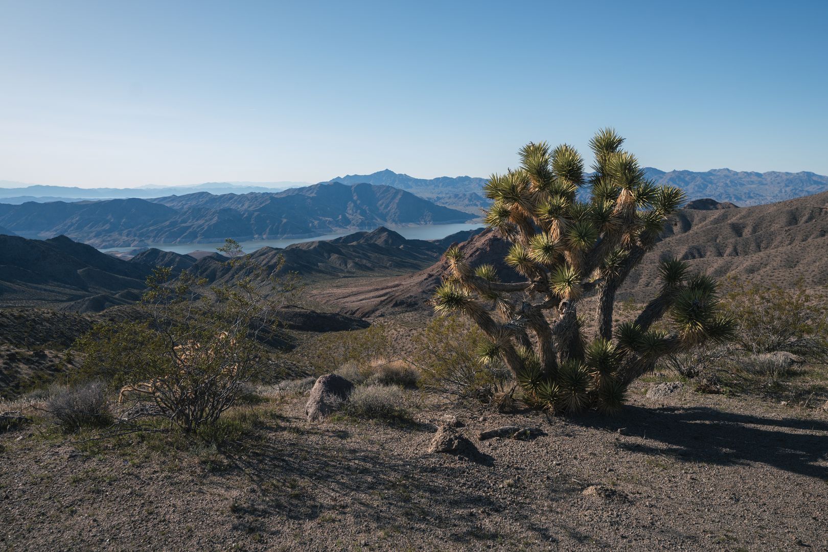 Aerial property overview